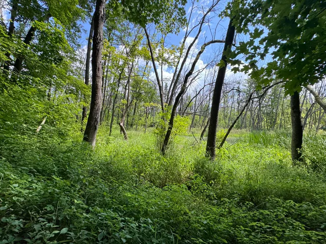 $1 | Lt1-3 North Crawfish Road, Ixonia, WI 53036