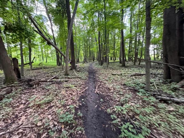 $1 | Lt1-3 North Crawfish Road, Ixonia, WI 53036