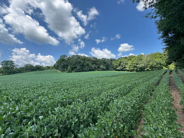 $1 | Lt1-3 North Crawfish Road, Ixonia, WI 53036