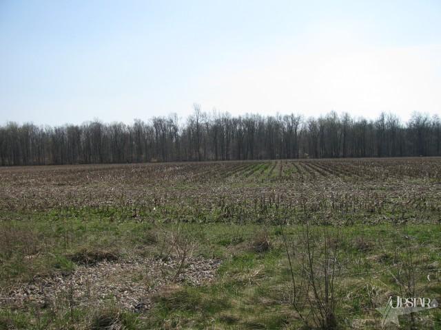 12025 West Cook Road Fort Wayne, IN 46818 - Photo 29 of 30