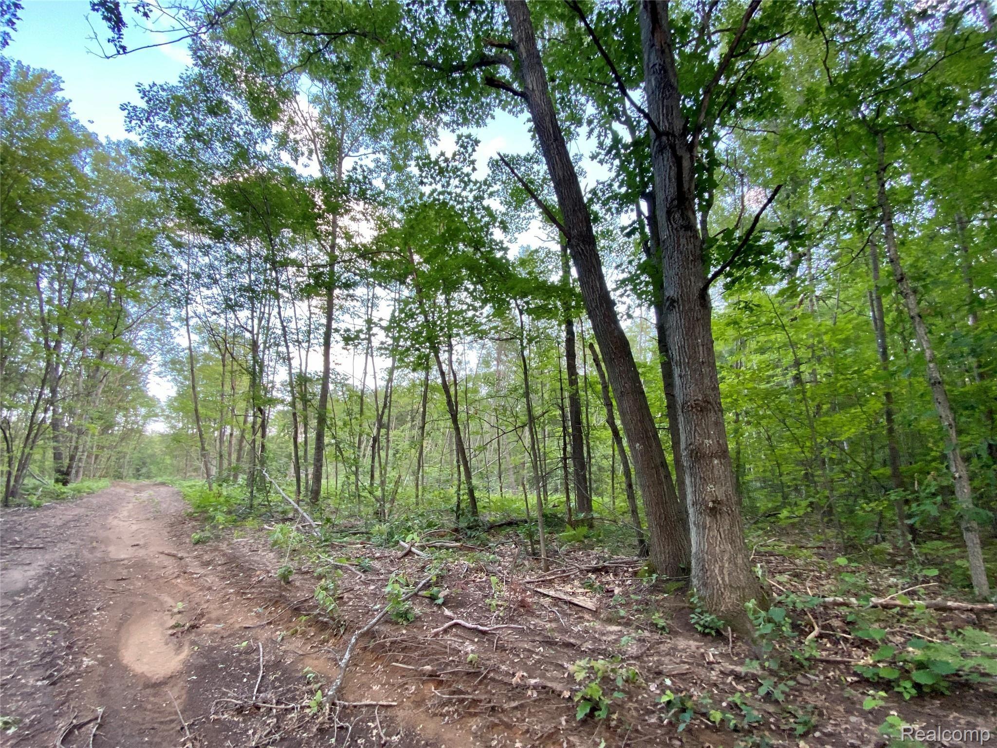 2800 Maple Grv Road Farwell, MI 48622 - Photo 43 of 47 t.jpeg