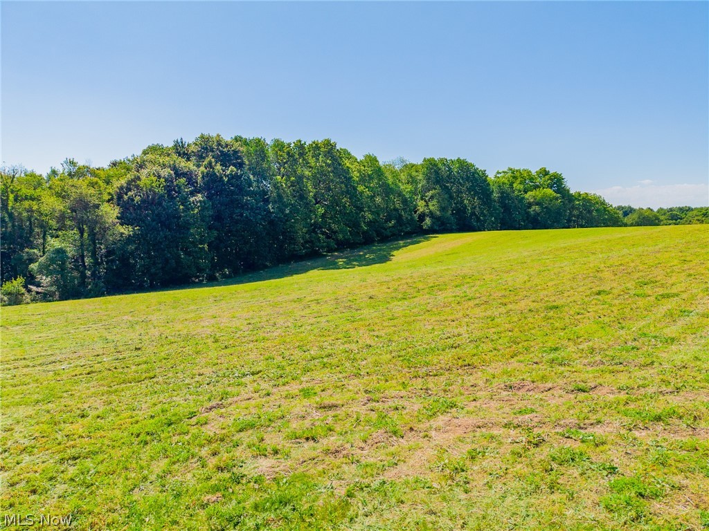 Ridge Road Minerva, OH 44657 - Photo 49 of 49