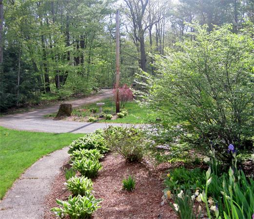34 Kruse Road Hubbardston, MA 01452 - Photo 4 of 27 a backyard of a house with lots of green space