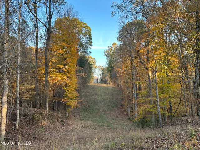 $465,500 | Perry Creek Road, Bentonia, MS 39040