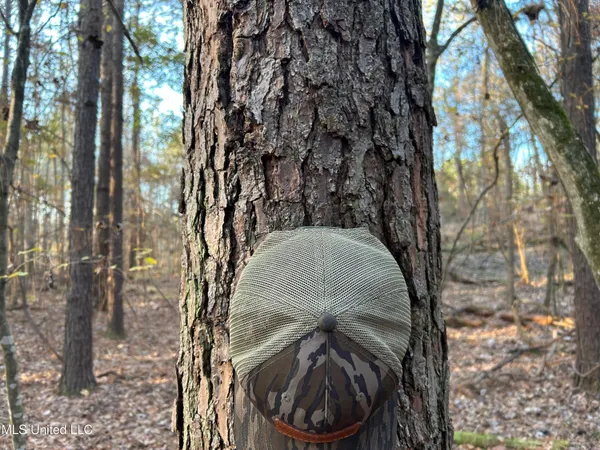 $465,500 | Perry Creek Road, Bentonia, MS 39040