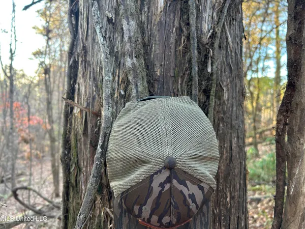 $465,500 | Perry Creek Road, Bentonia, MS 39040