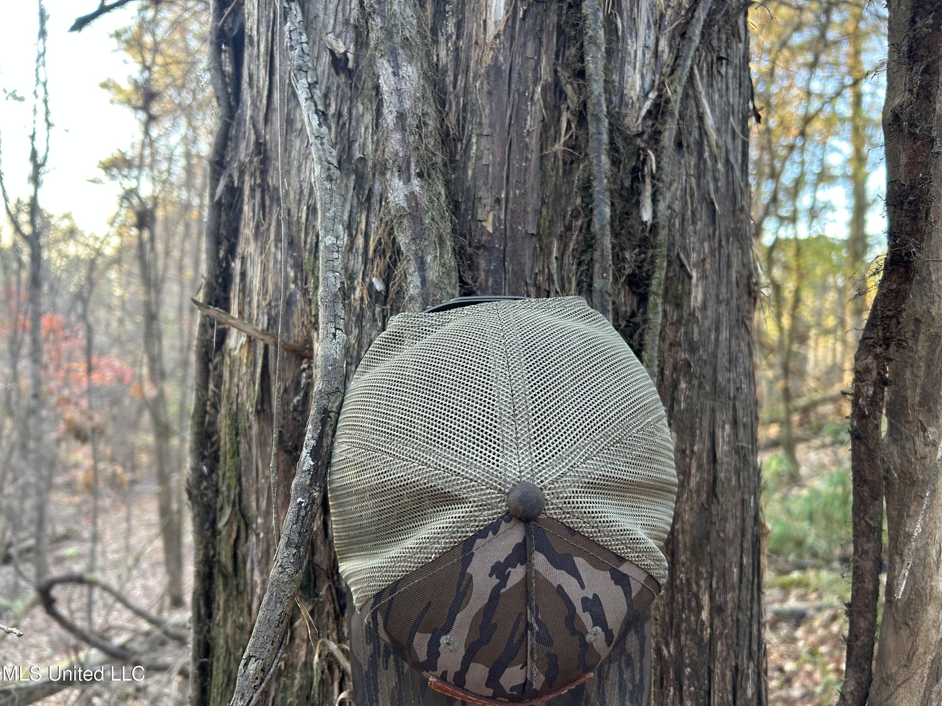 Perry Creek Road Bentonia, MS 39040 - Photo 12 of 70 Photo Dec 12 2025, 7 43 56 AM