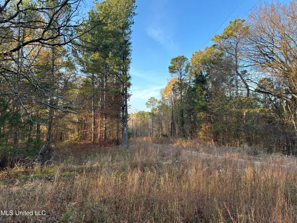 $465,500 | Perry Creek Road, Bentonia, MS 39040