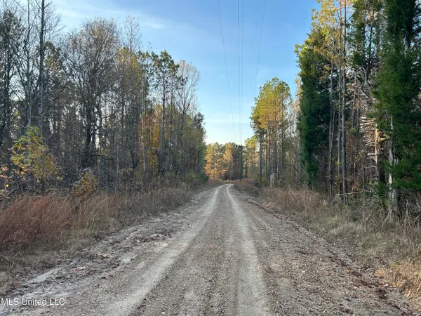 $465,500 | Perry Creek Road, Bentonia, MS 39040
