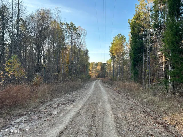 $465,500 | Perry Creek Road, Bentonia, MS 39040