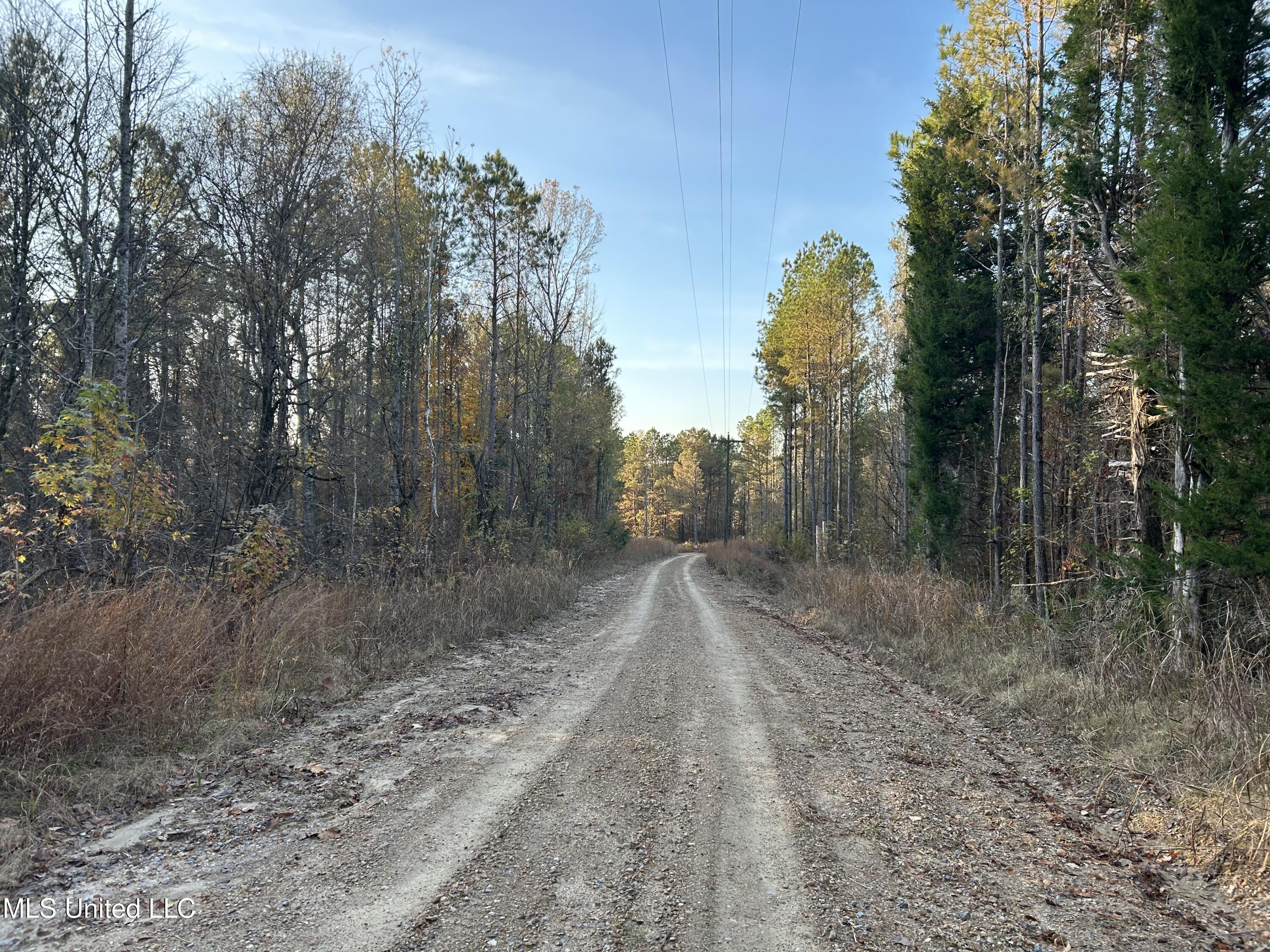 Perry Creek Road Bentonia, MS 39040 - Photo 14 of 70 Photo Dec 12 2025, 7 51 24 AM