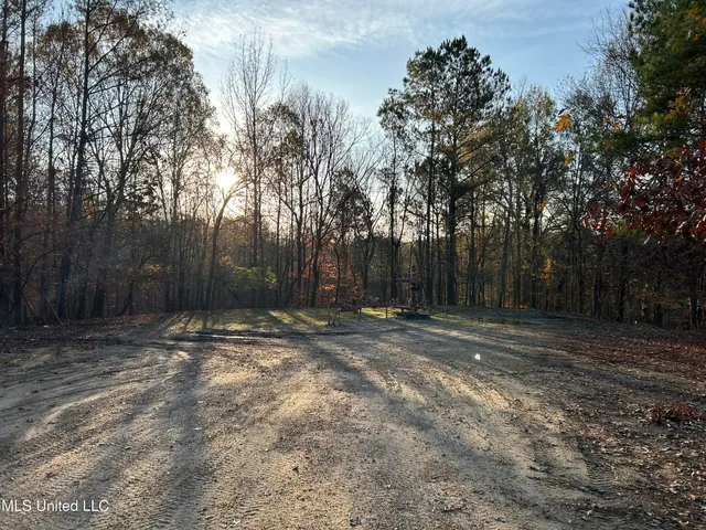 $465,500 | Perry Creek Road, Bentonia, MS 39040