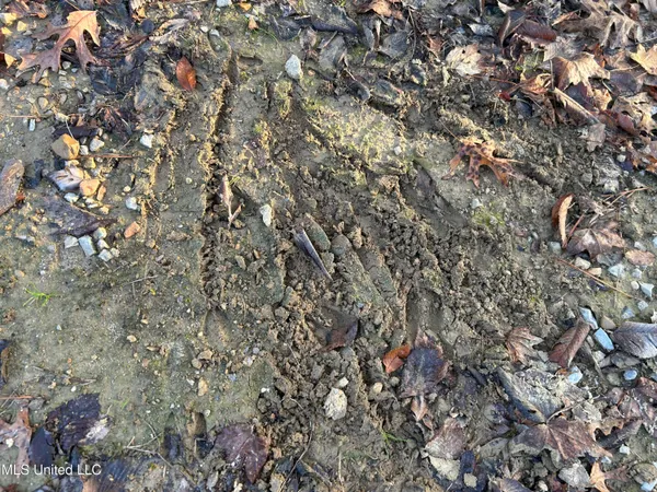 $465,500 | Perry Creek Road, Bentonia, MS 39040