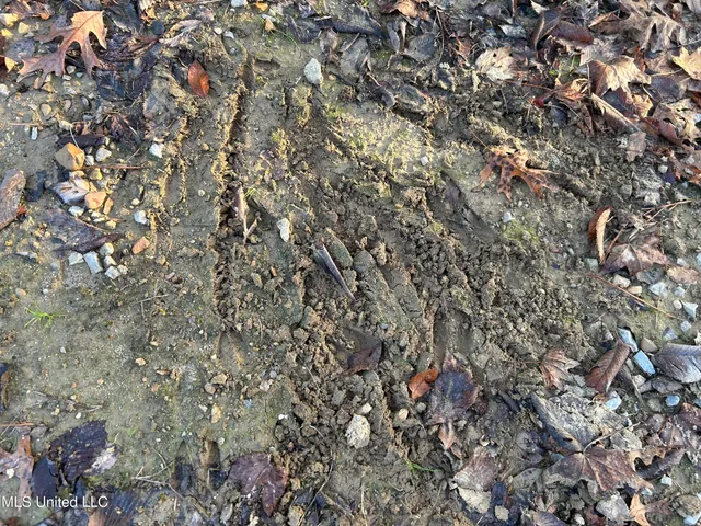 $465,500 | Perry Creek Road, Bentonia, MS 39040