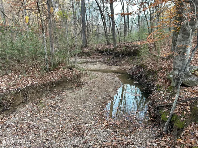 $465,500 | Perry Creek Road, Bentonia, MS 39040