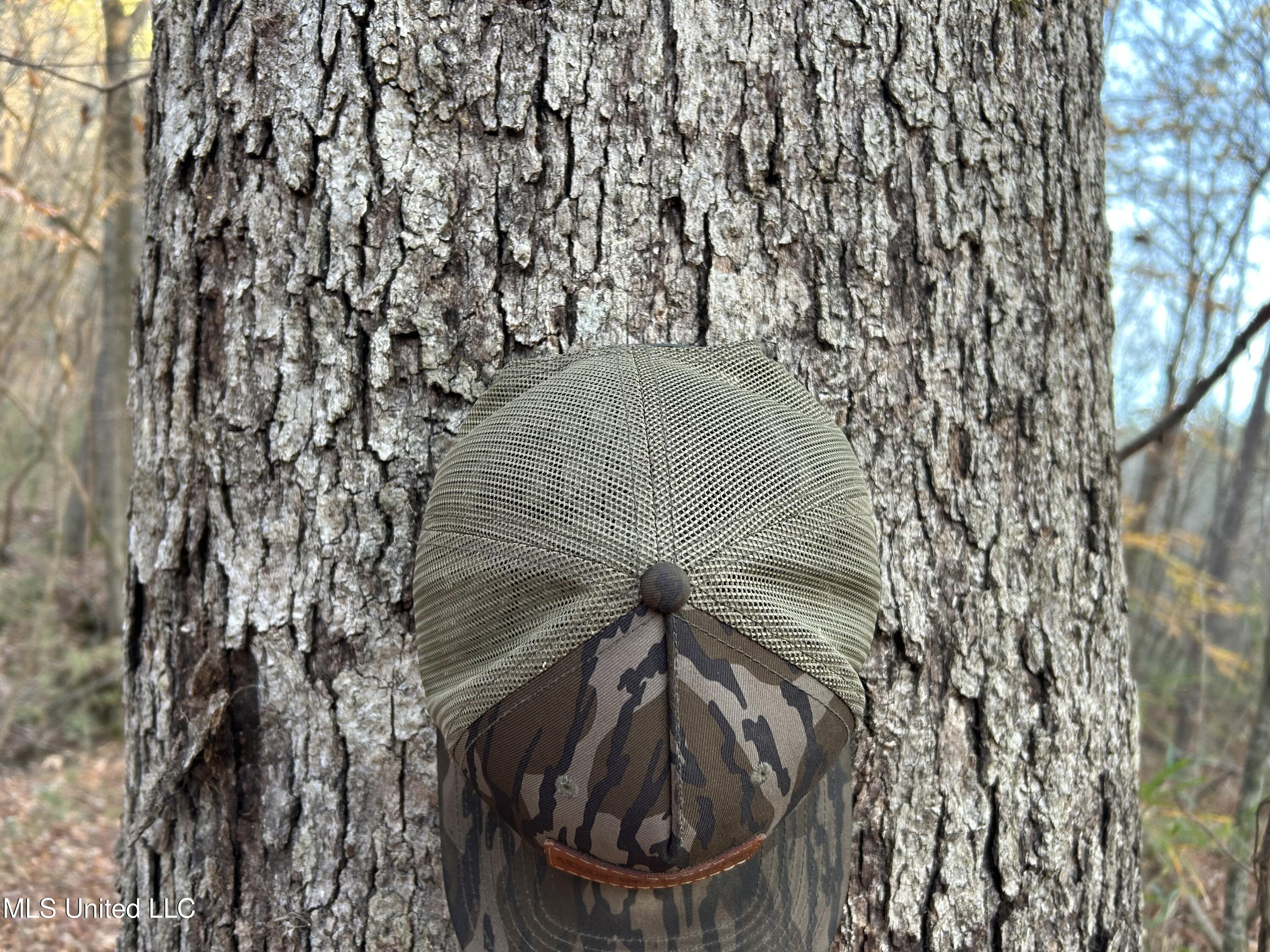 Perry Creek Road Bentonia, MS 39040 - Photo 18 of 70 Photo Dec 12 2025, 7 58 02 AM