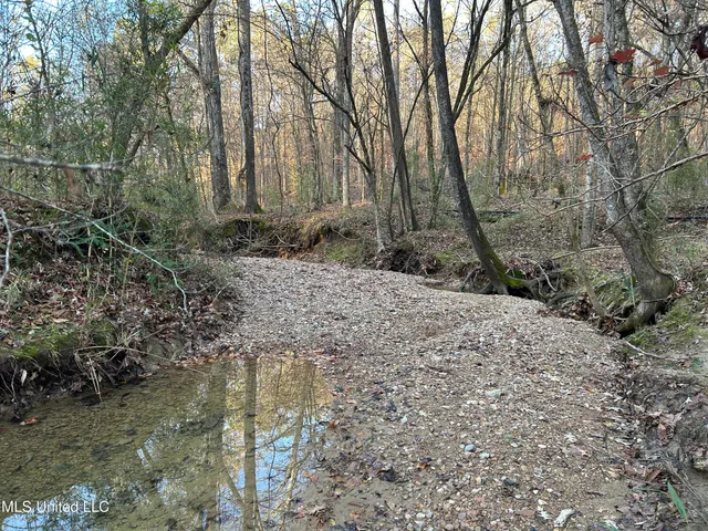 $465,500 | Perry Creek Road, Bentonia, MS 39040