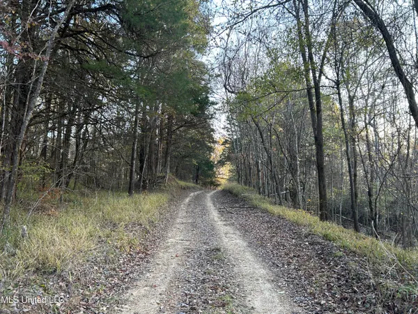 $465,500 | Perry Creek Road, Bentonia, MS 39040