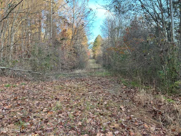 $465,500 | Perry Creek Road, Bentonia, MS 39040