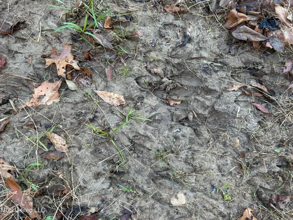 $465,500 | Perry Creek Road, Bentonia, MS 39040