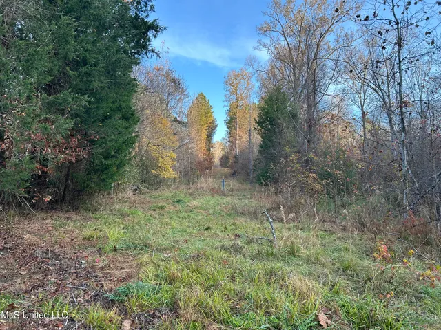 $465,500 | Perry Creek Road, Bentonia, MS 39040