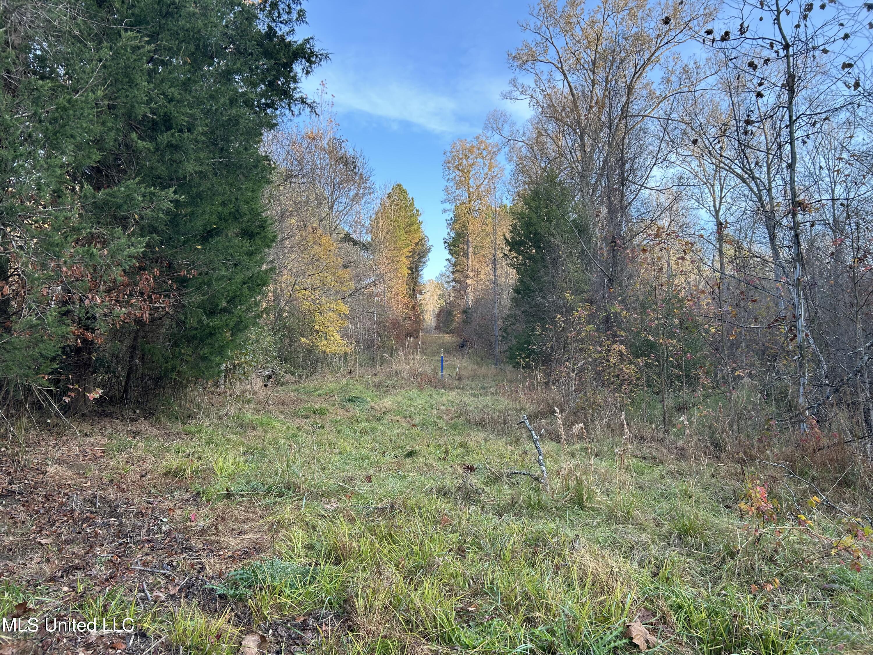Perry Creek Road Bentonia, MS 39040 - Photo 23 of 70 Photo Dec 12 2025, 8 01 54 AM