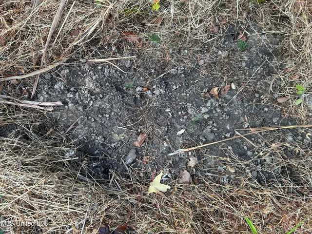 $465,500 | Perry Creek Road, Bentonia, MS 39040