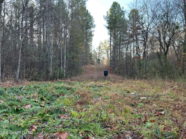 $465,500 | Perry Creek Road, Bentonia, MS 39040