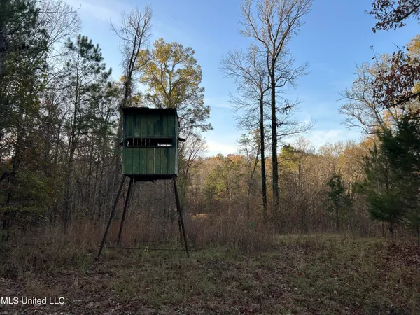 $465,500 | Perry Creek Road, Bentonia, MS 39040