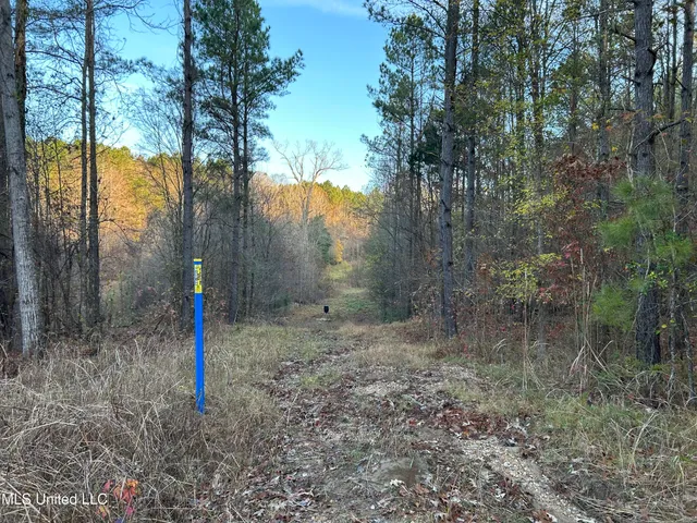 $465,500 | Perry Creek Road, Bentonia, MS 39040