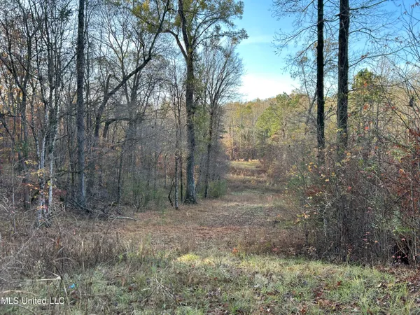$465,500 | Perry Creek Road, Bentonia, MS 39040