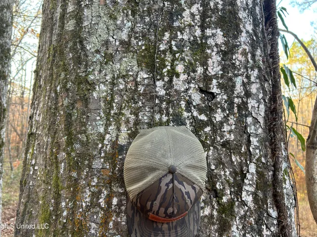 $465,500 | Perry Creek Road, Bentonia, MS 39040