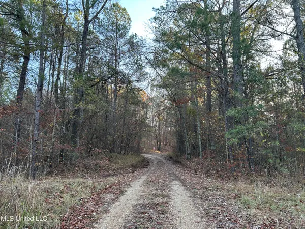 $465,500 | Perry Creek Road, Bentonia, MS 39040