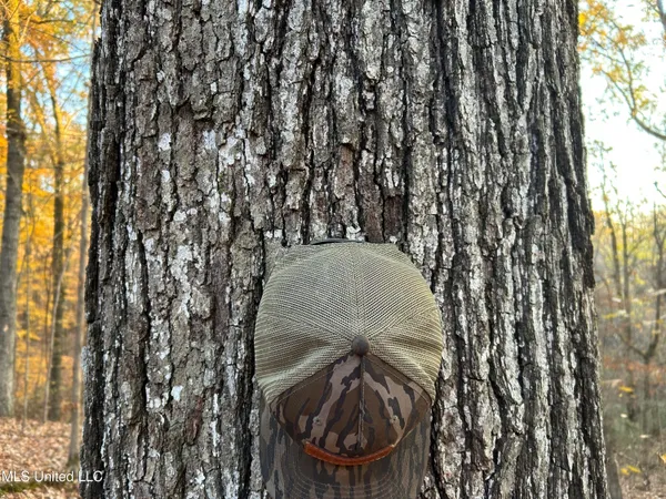 $465,500 | Perry Creek Road, Bentonia, MS 39040