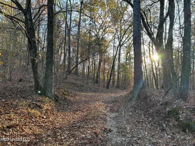 $465,500 | Perry Creek Road, Bentonia, MS 39040