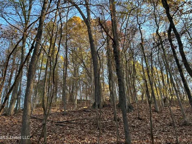 $465,500 | Perry Creek Road, Bentonia, MS 39040