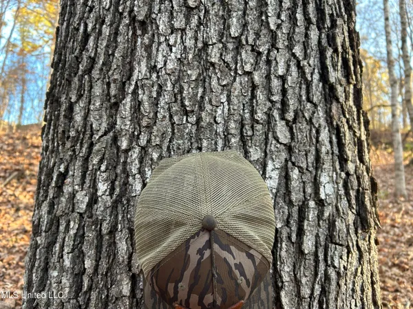 $465,500 | Perry Creek Road, Bentonia, MS 39040