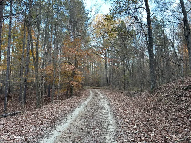 $465,500 | Perry Creek Road, Bentonia, MS 39040