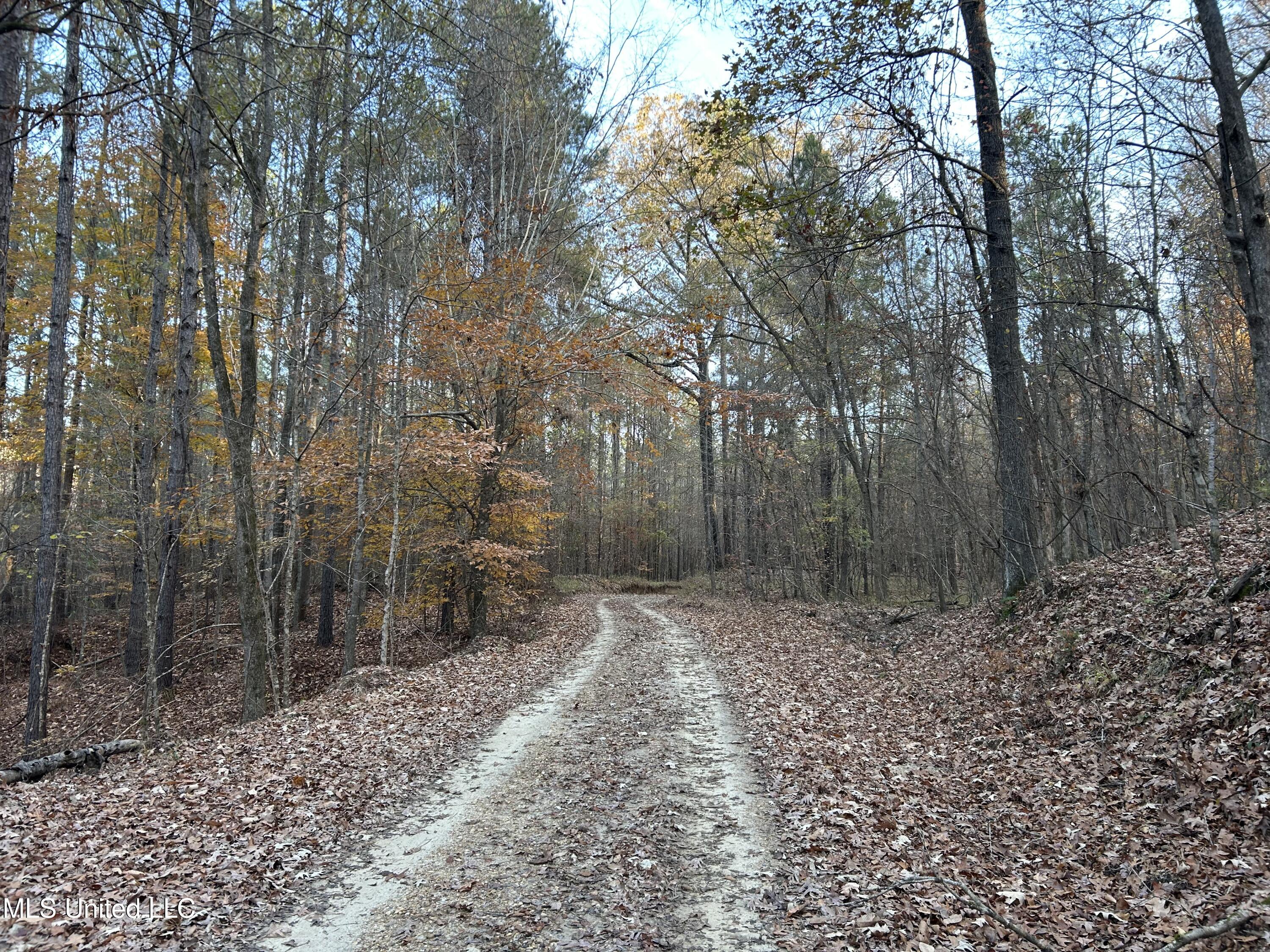 Perry Creek Road Bentonia, MS 39040 - Photo 35 of 70 Photo Dec 12 2025, 8 10 48 AM