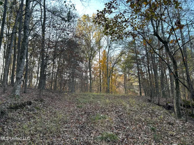 $465,500 | Perry Creek Road, Bentonia, MS 39040