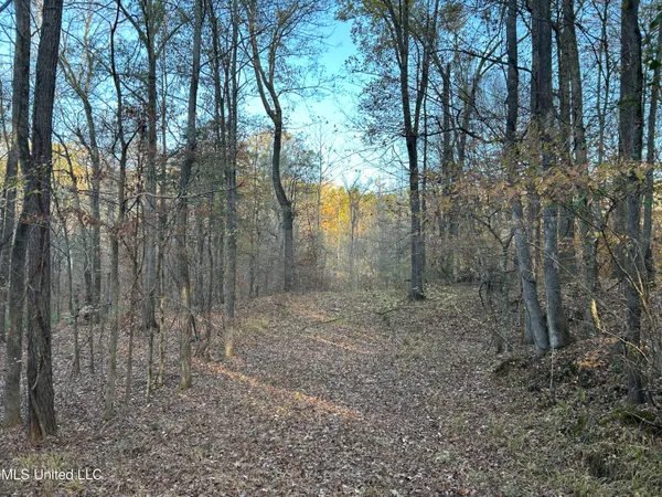 $465,500 | Perry Creek Road, Bentonia, MS 39040