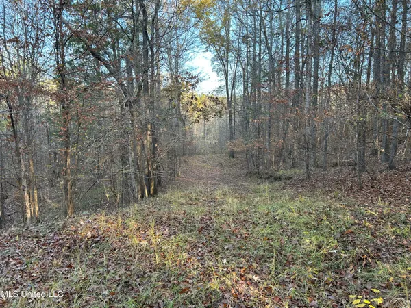 $465,500 | Perry Creek Road, Bentonia, MS 39040