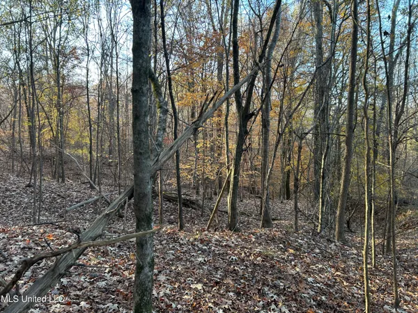 $465,500 | Perry Creek Road, Bentonia, MS 39040