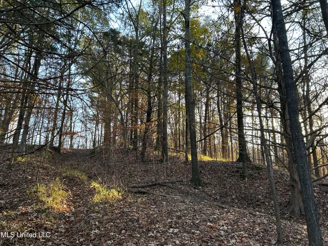 $465,500 | Perry Creek Road, Bentonia, MS 39040