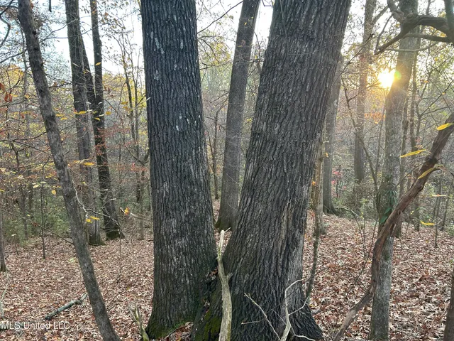 $465,500 | Perry Creek Road, Bentonia, MS 39040