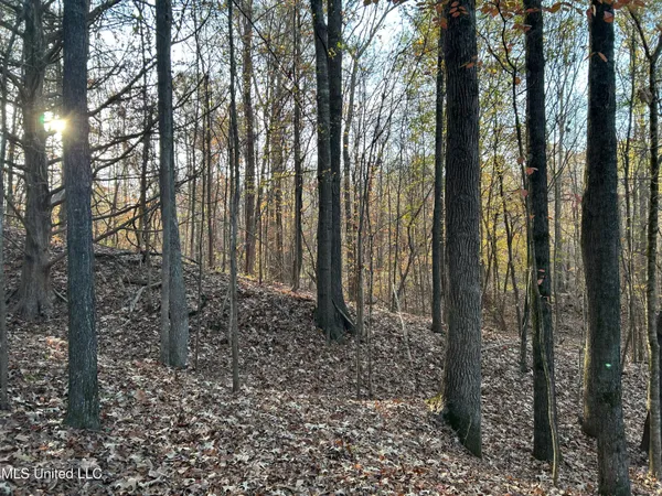 $465,500 | Perry Creek Road, Bentonia, MS 39040