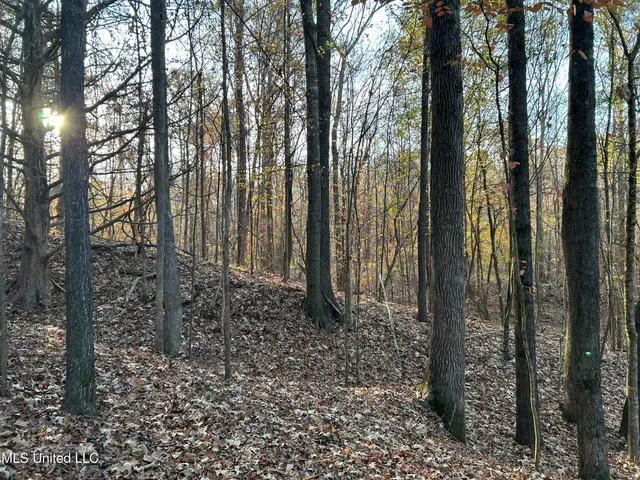 $465,500 | Perry Creek Road, Bentonia, MS 39040