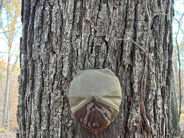 $465,500 | Perry Creek Road, Bentonia, MS 39040