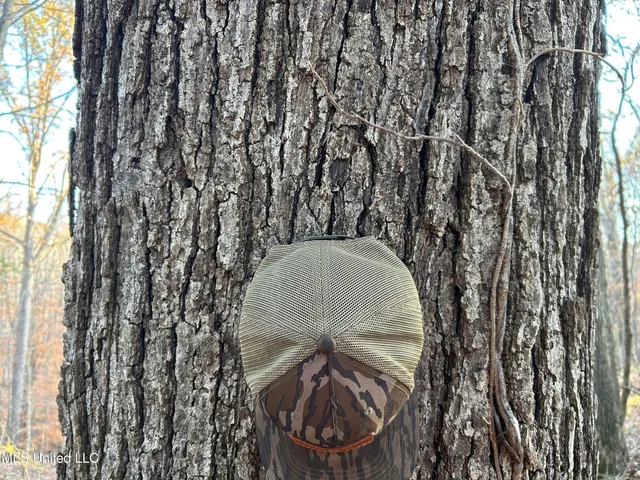 $465,500 | Perry Creek Road, Bentonia, MS 39040