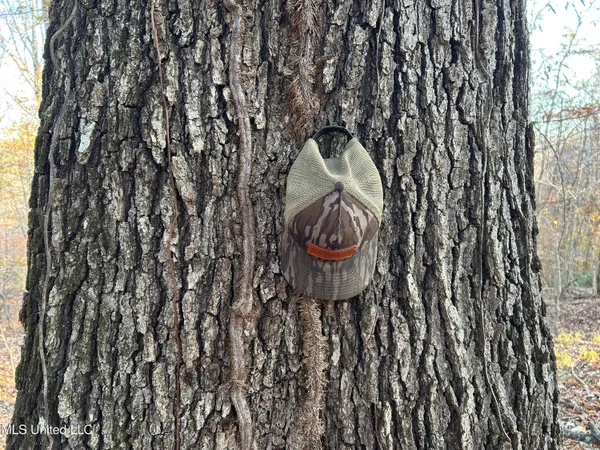 $465,500 | Perry Creek Road, Bentonia, MS 39040